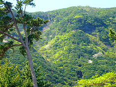 山の風景